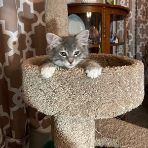 Meet your Posher, Terry